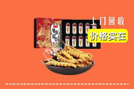 大同市浑源回收冬虫夏草